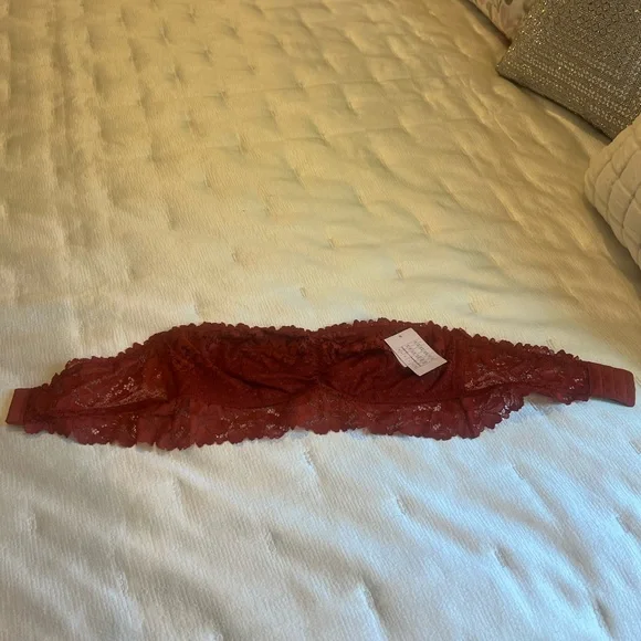 Auden stylish Auburn Color Bandeau Bra with Romantic Lace Design - Picture 6 of 6